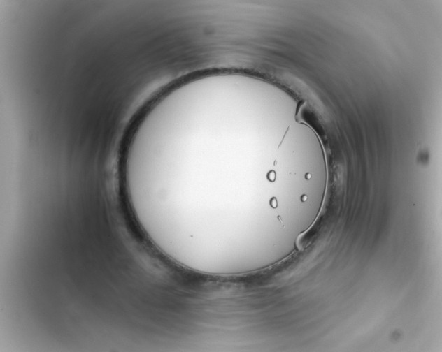 X0000103310676200809191918
