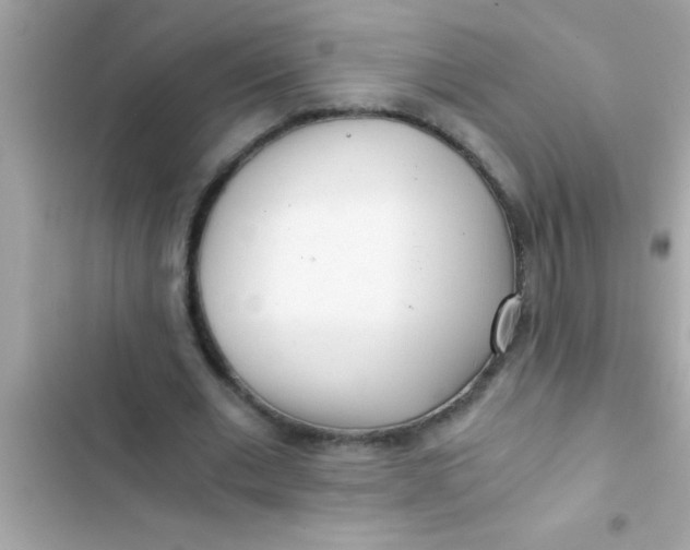 X0000103310677200809191918