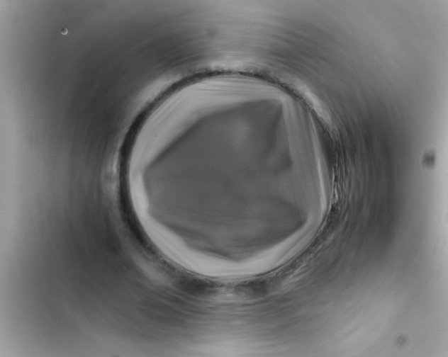 X0000103310678200809191918