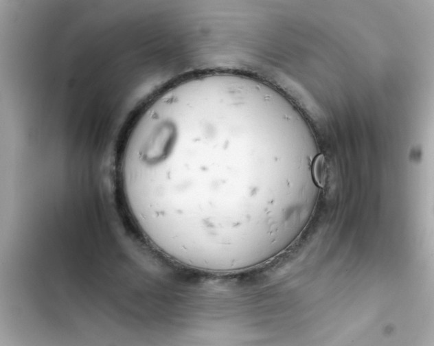 X0000103310680200809191918