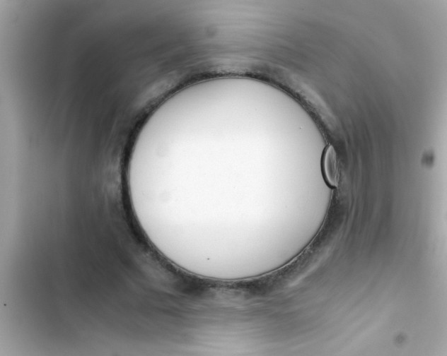X0000103310681200809191918