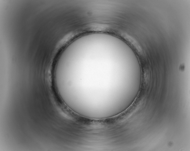 X0000103310682200809191918