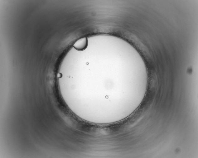 X0000103310683200809191918