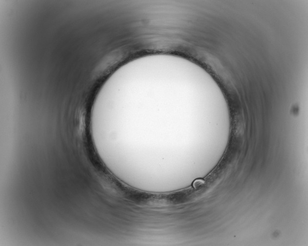 X0000103310685200809191918