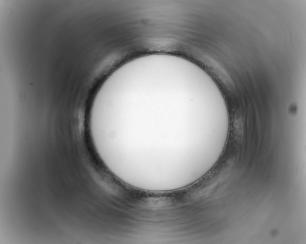 X0000103310686200809191918