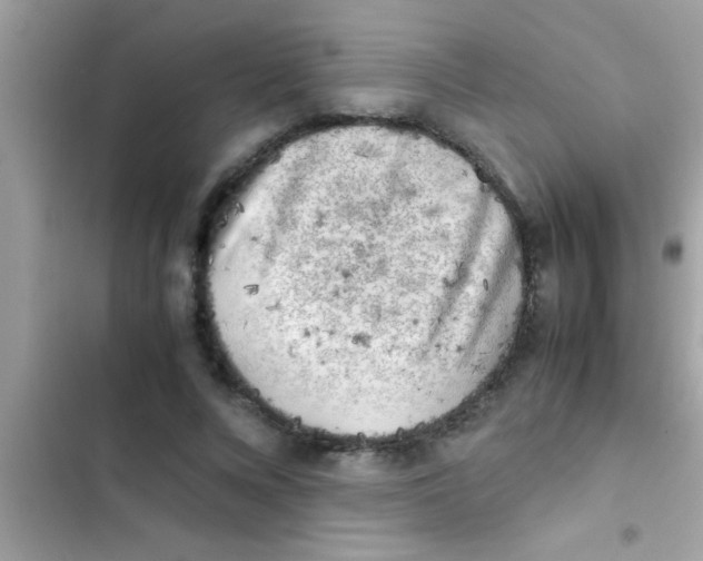 X0000103310688200809191918