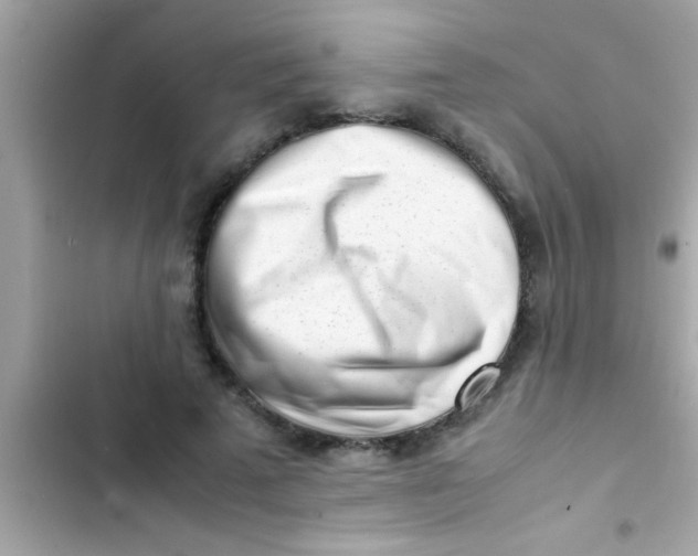 X0000103310689200809191918