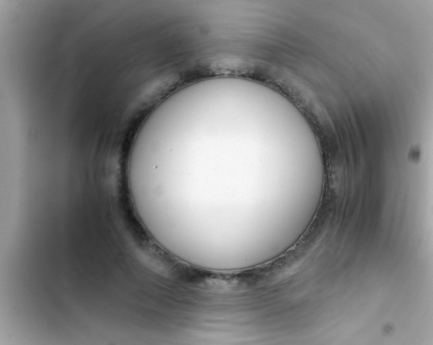X0000103310690200809191918