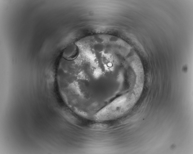 X0000103310691200809191918