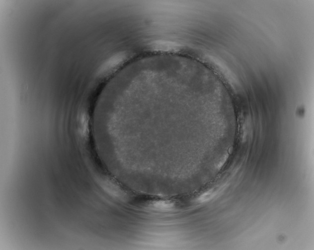 X0000103310692200809191918
