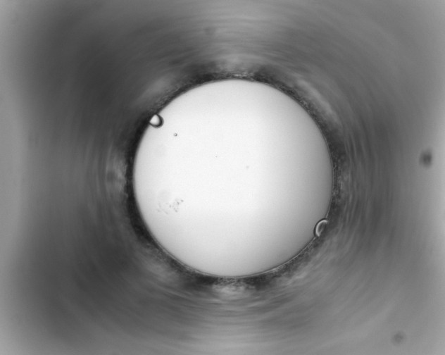X0000103310693200809191918