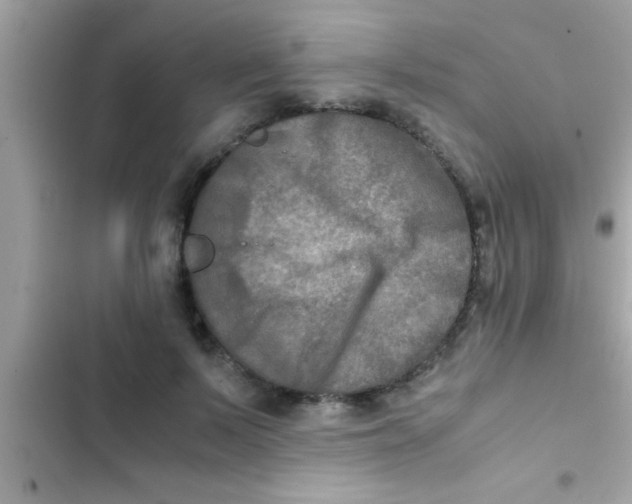 X0000103310695200809191918