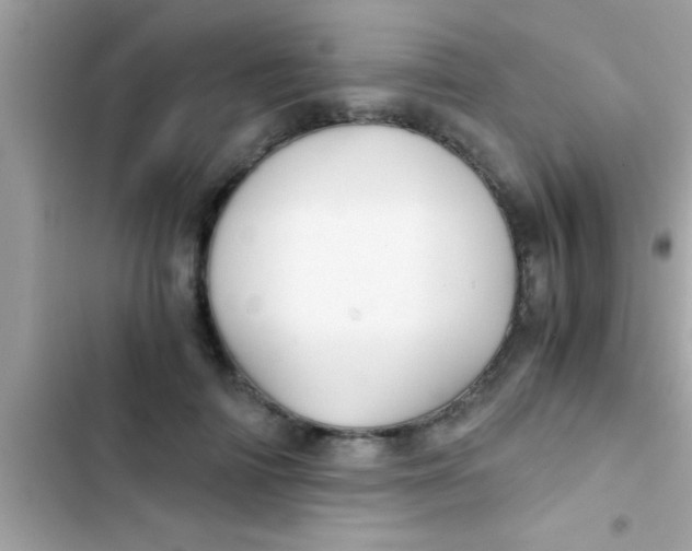 X0000103310698200809191918