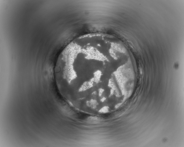 X0000103310699200809191918