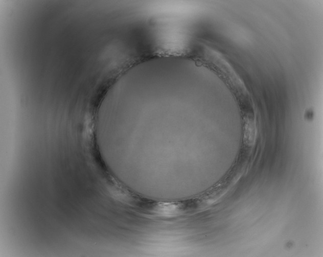 X0000103310701200809191918