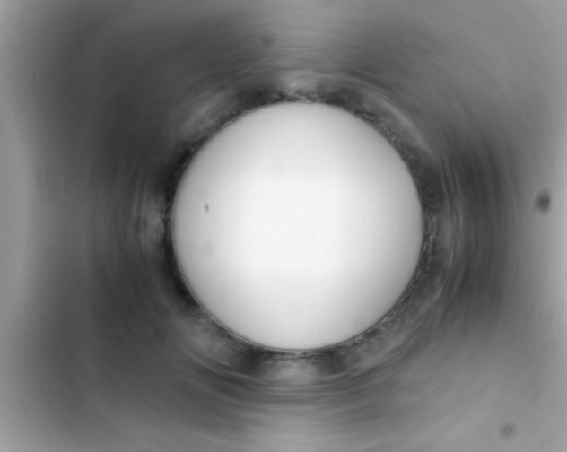 X0000103310702200809191918