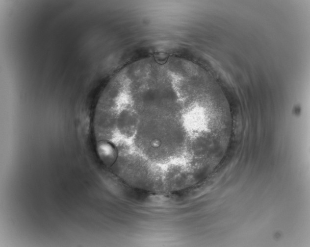 X0000103310703200809191918