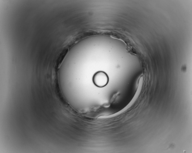 X0000103310704200809191918