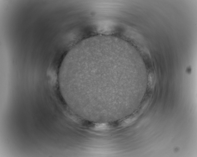 X0000103310705200809191918