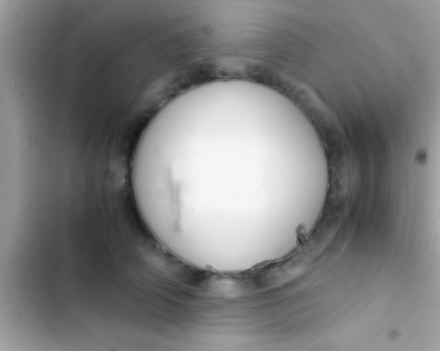 X0000103310706200809191918