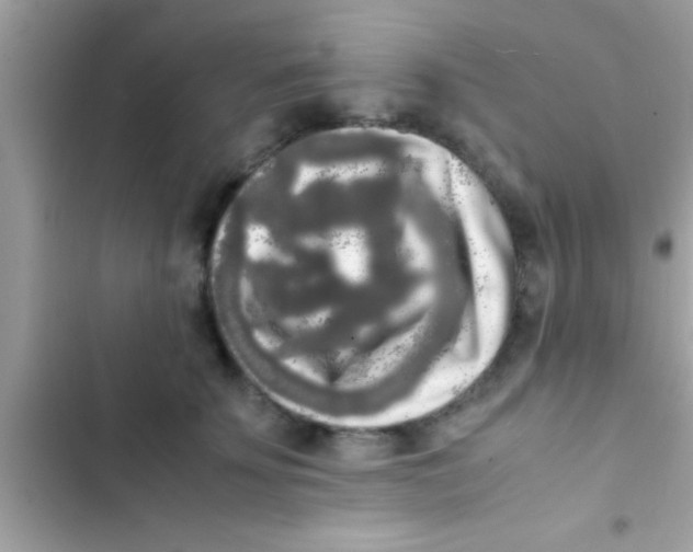 X0000103310707200809191918