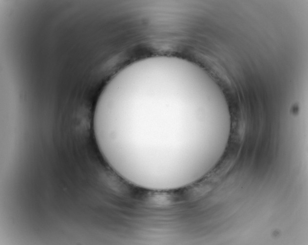 X0000103310710200809191918