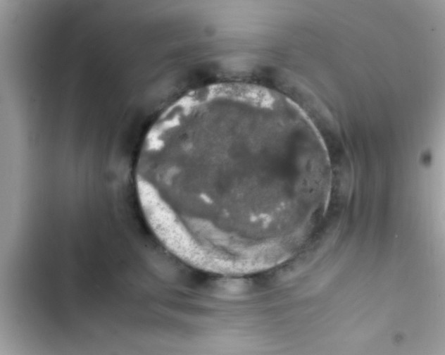 X0000103310711200809191918