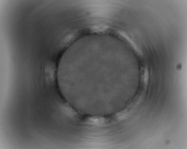 X0000103310712200809191918