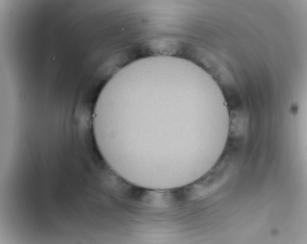 X0000103310713200809191918