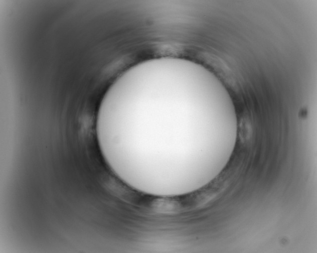 X0000103310714200809191918