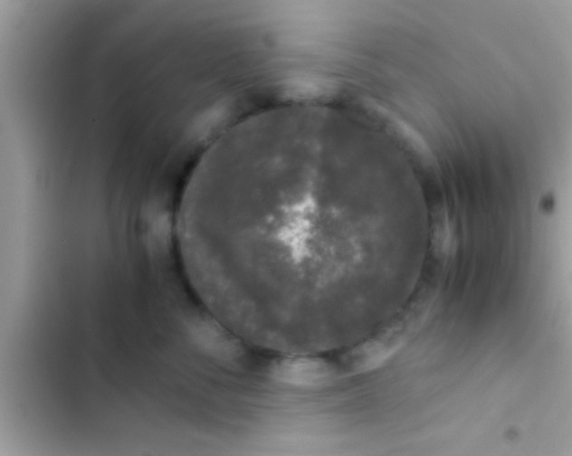 X0000103310716200809191917