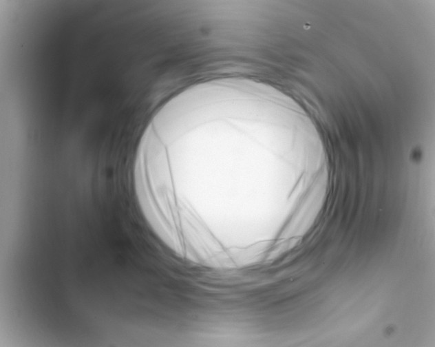 X0000103310717200809191917