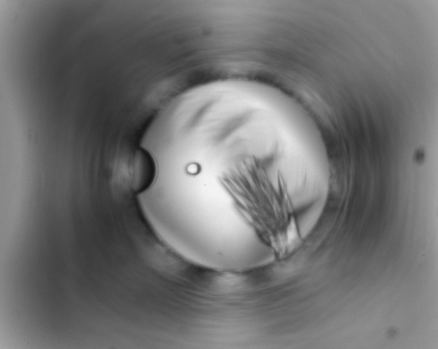 X0000103310718200809191917