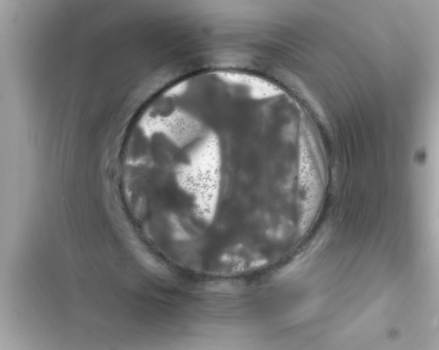 X0000103310721200809191917