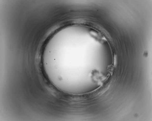 X0000103310723200809191917