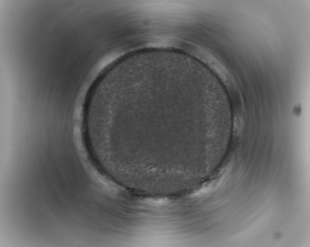 X0000103310724200809191917