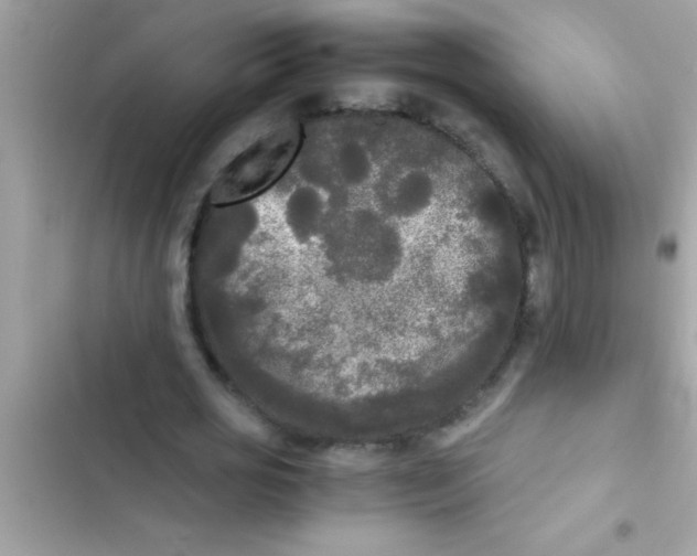 X0000103310725200809191917