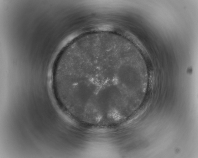 X0000103310726200809191917