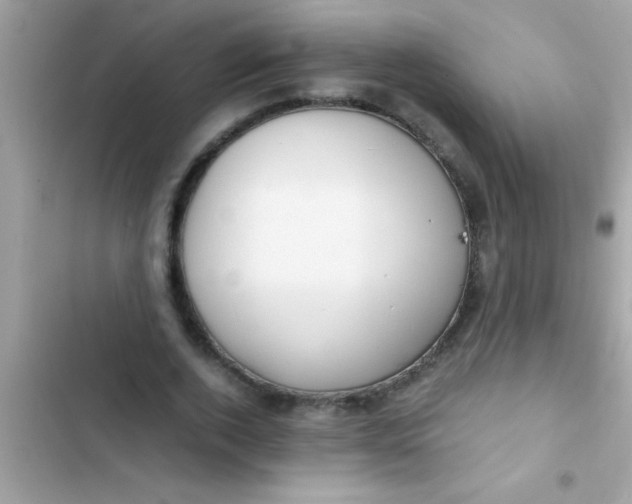 X0000103310728200809191917