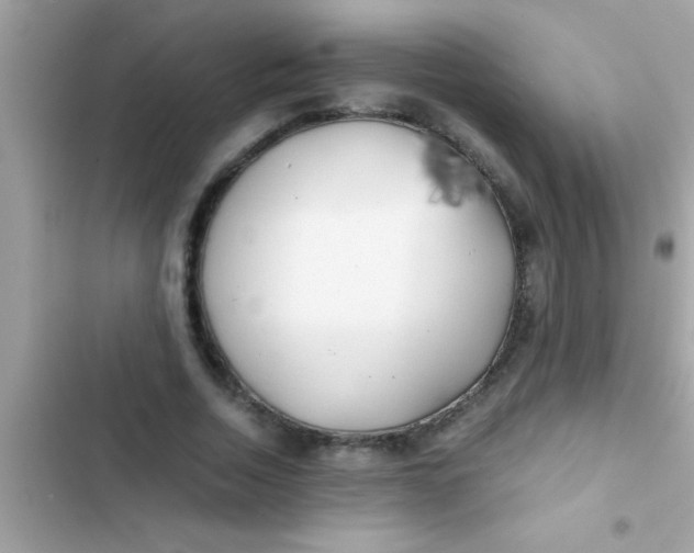X0000103310730200809191917