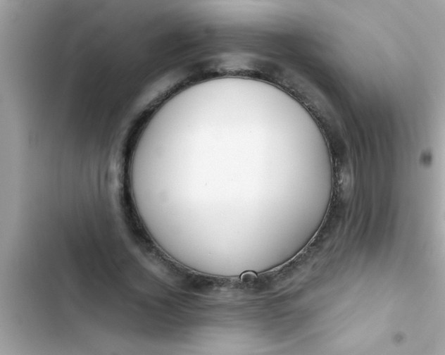X0000103310732200809191917