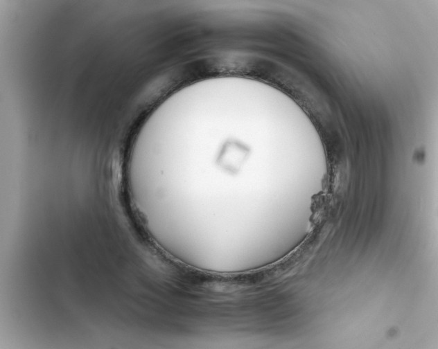 X0000103310733200809191917
