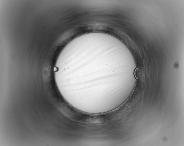 X0000103310735200809191917