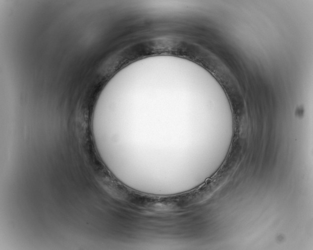X0000103310737200809191917