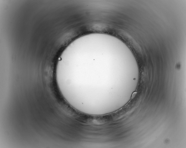 X0000103310739200809191917