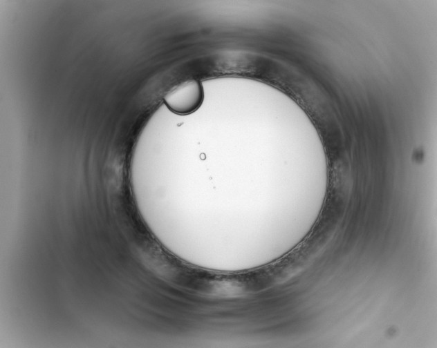 X0000103310741200809191917