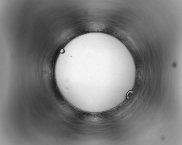 X0000103310743200809191917