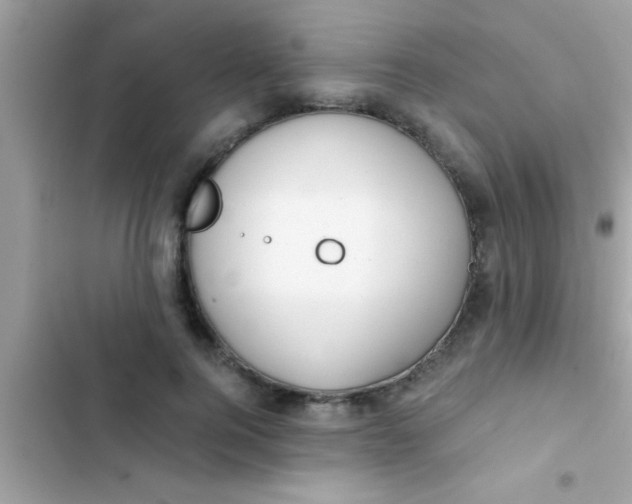 X0000103310744200809191917