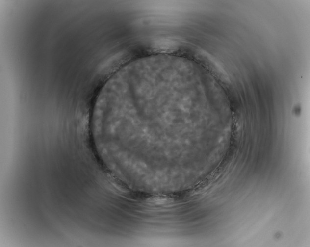 X0000103310745200809191917