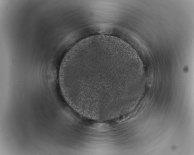 X0000103310748200809191917